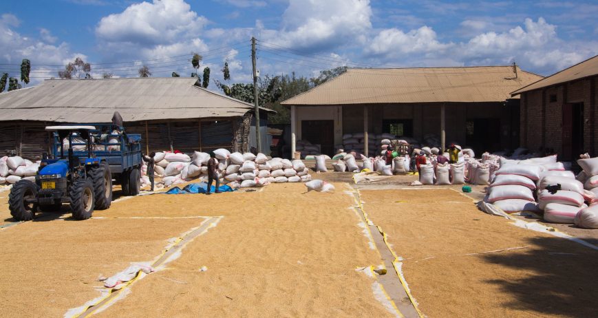Activity to bolster productivity, competitiveness, and improved nutrition for smallholders, primarily women