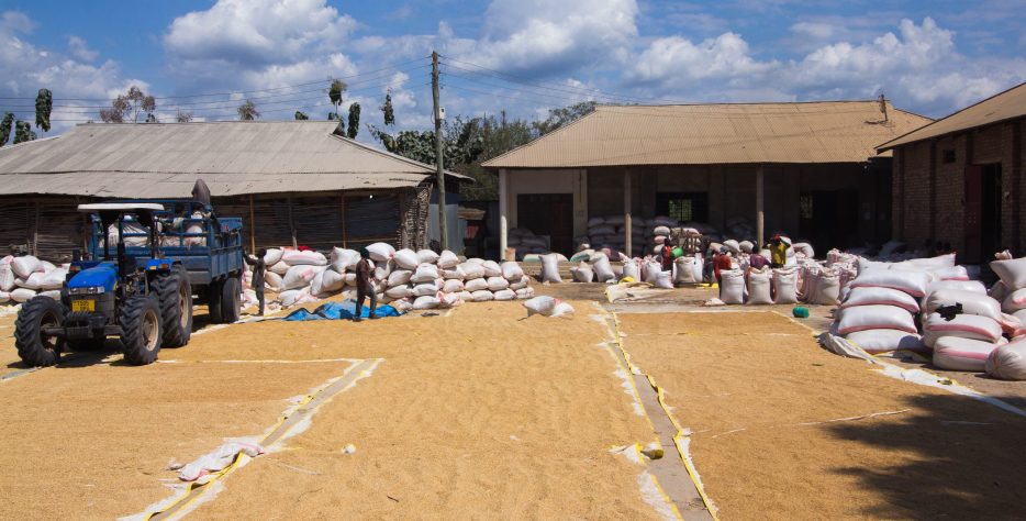 Activity to bolster productivity, competitiveness, and improved nutrition for smallholders, primarily women
